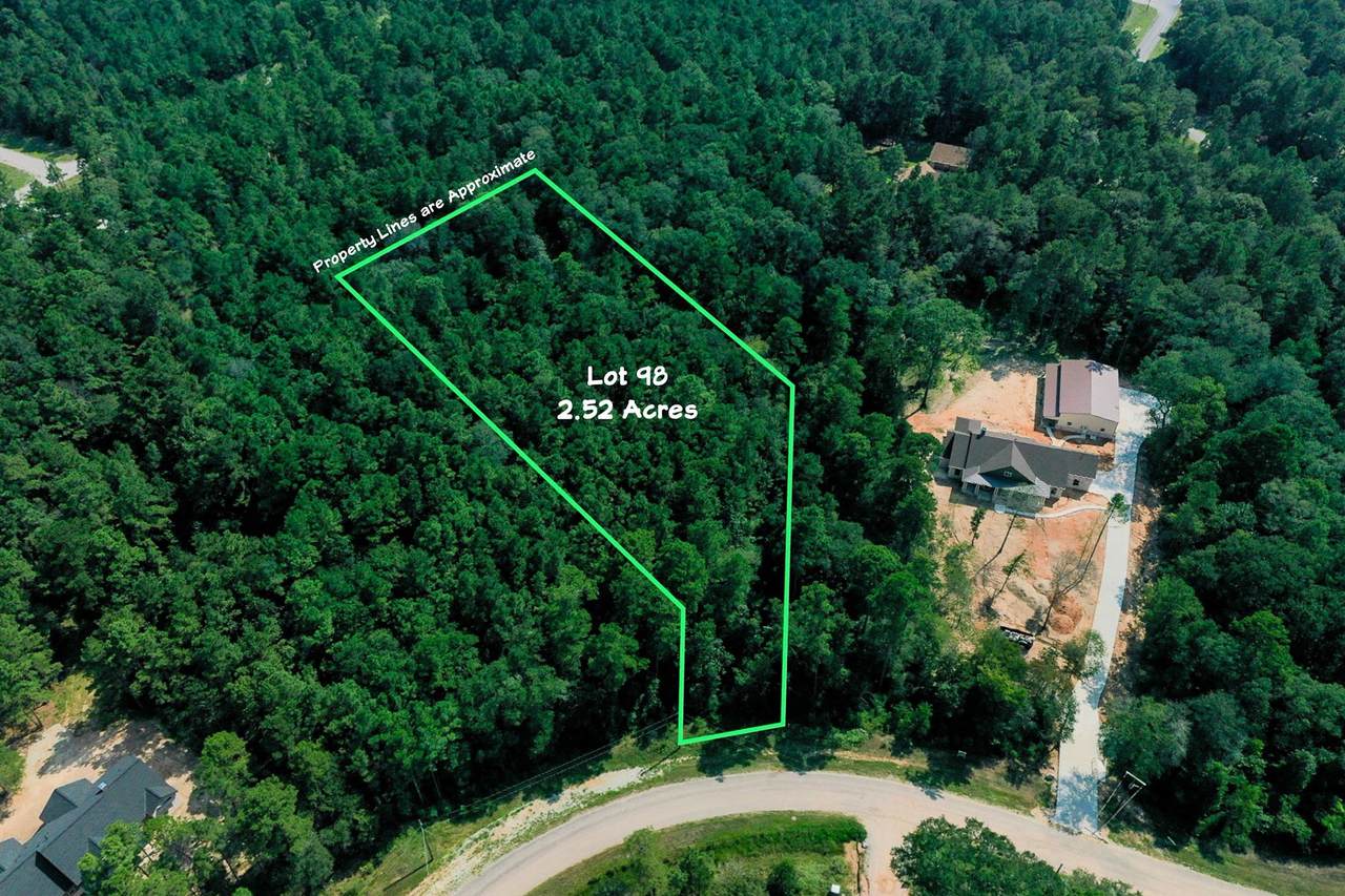 Lot 98 Red Hawk Road - Photo 1