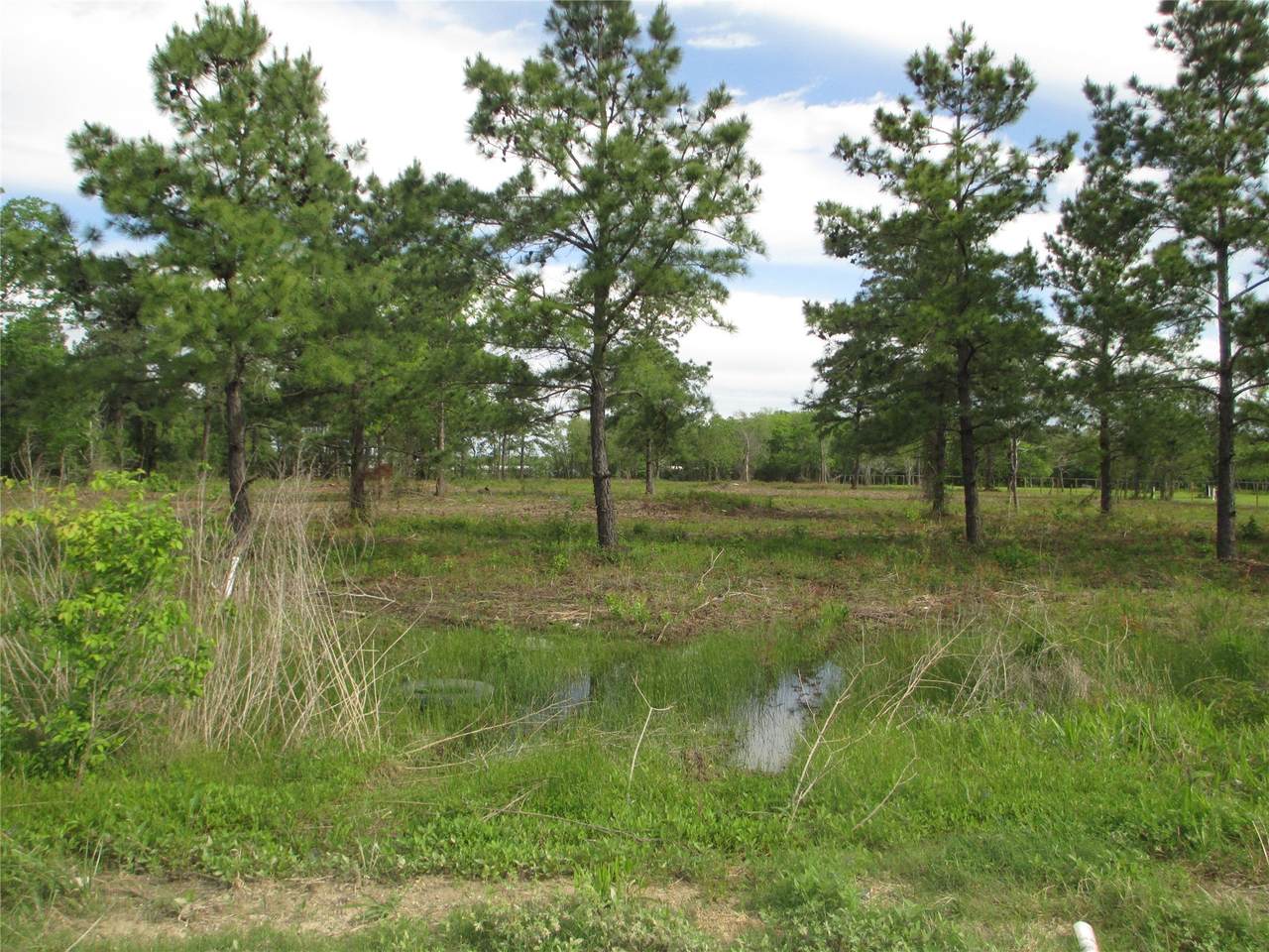 0 Morelos Road - Photo 1