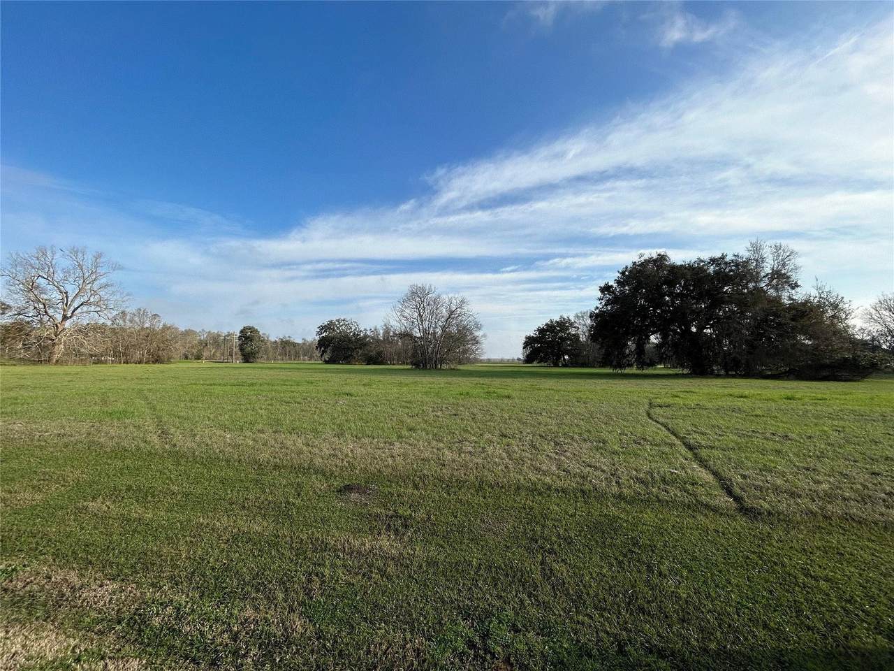 101 Cattle Drive Trail - Photo 1