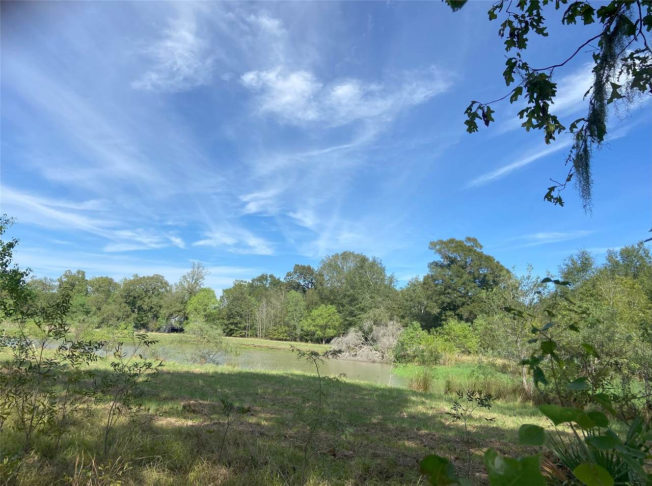 TBD Sour Lake Cir - Photo 1