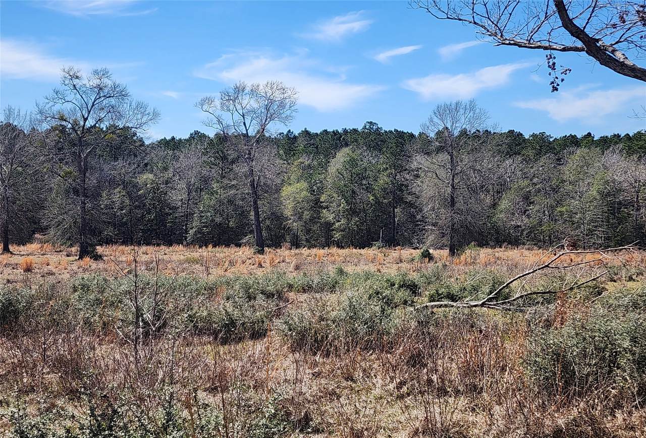 0000 Us Hwy 190 - Photo 1