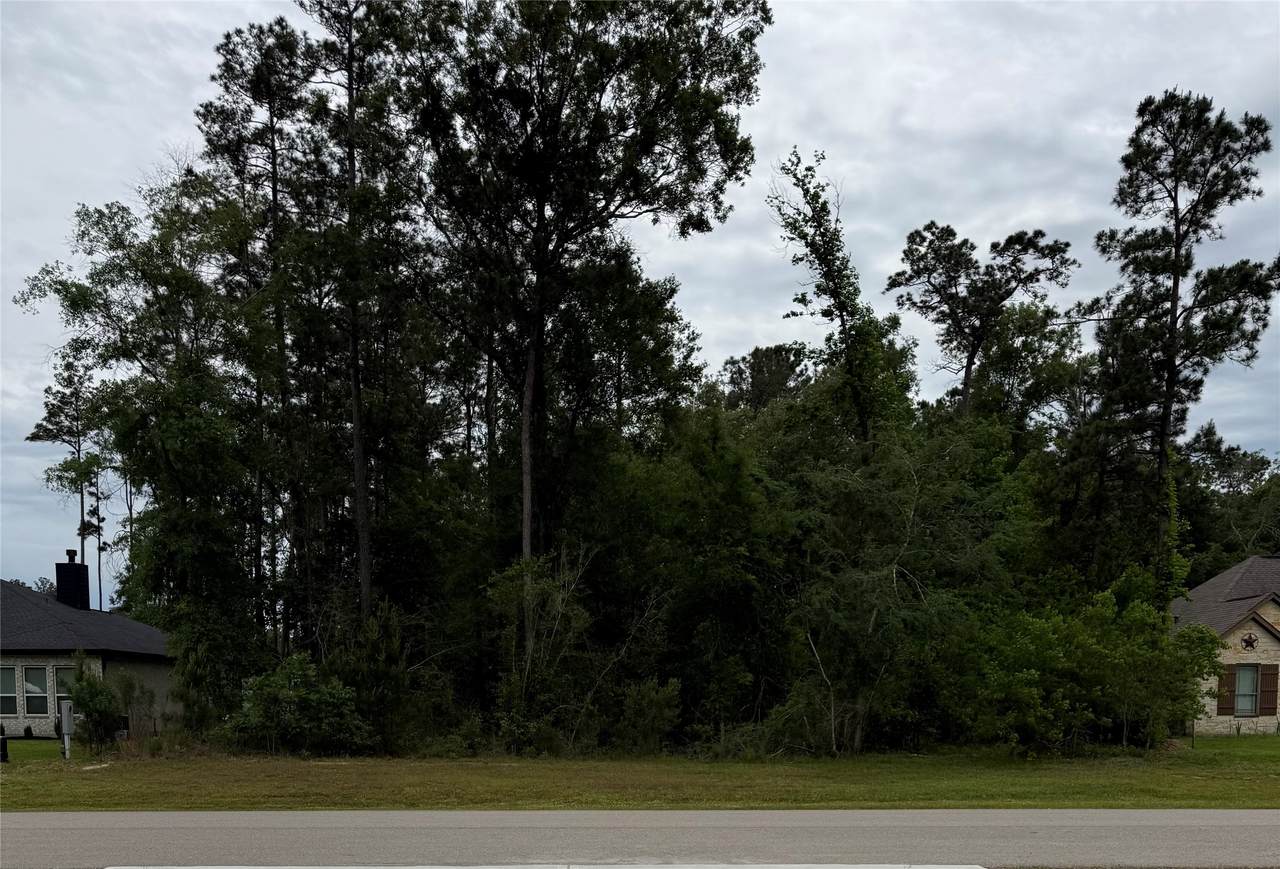 31 Road 66111 - Photo 1