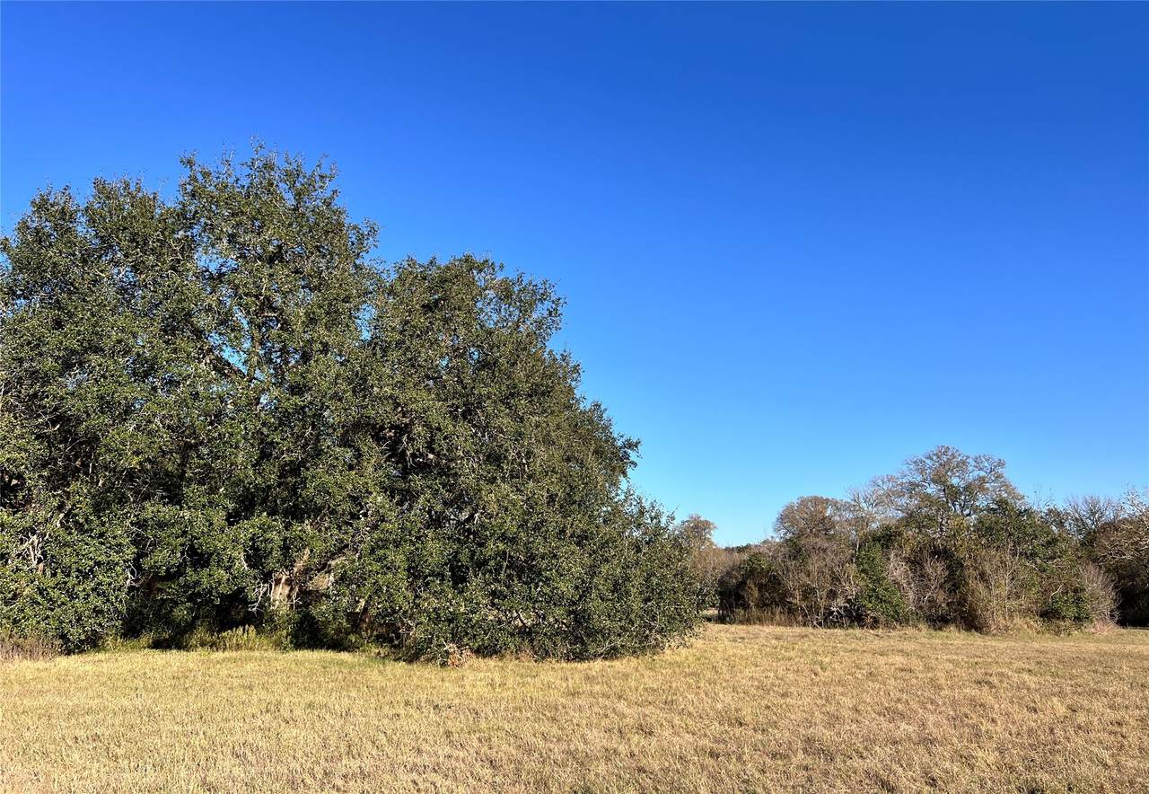 Lot 3 County Road 137 - Photo 1