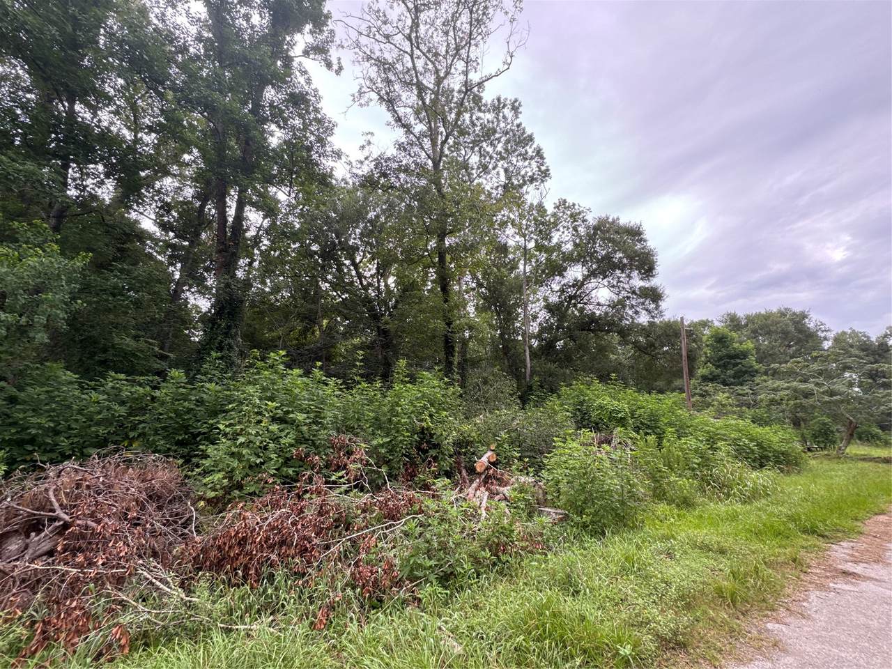 131 County Road 4282 - Photo 1