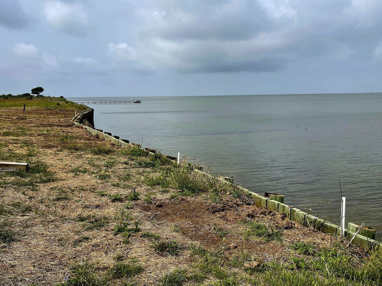 1780 County Road 372 Road - Photo 1