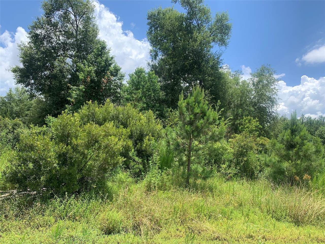 189 Country Road 3572 - Photo 1