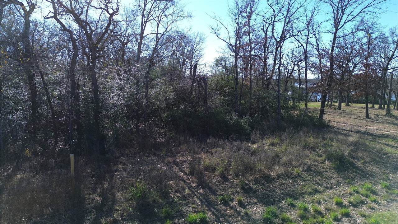 Lot 33 Cr 3675 - Photo 1