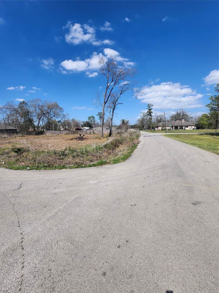 10105 Haddick Street - Photo 1