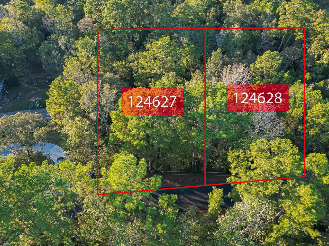 TBD Lake Mount Pleasant Road - Photo 1