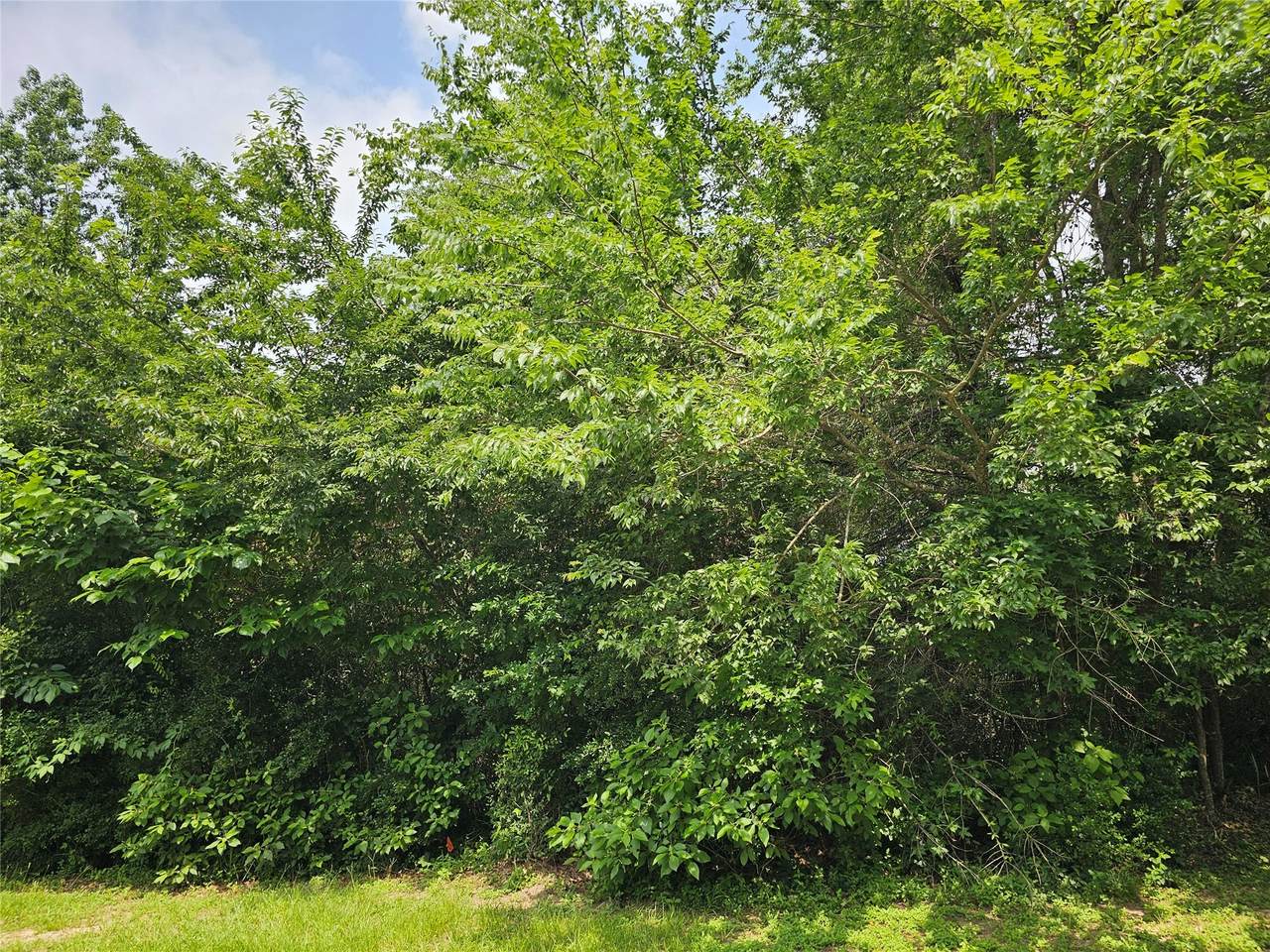 4813 Fork Boulevard - Photo 1