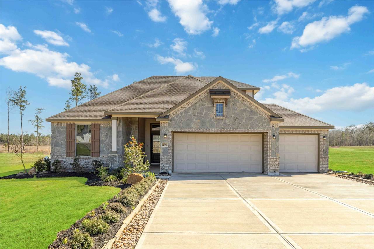 11359 White Rock Road - Photo 1