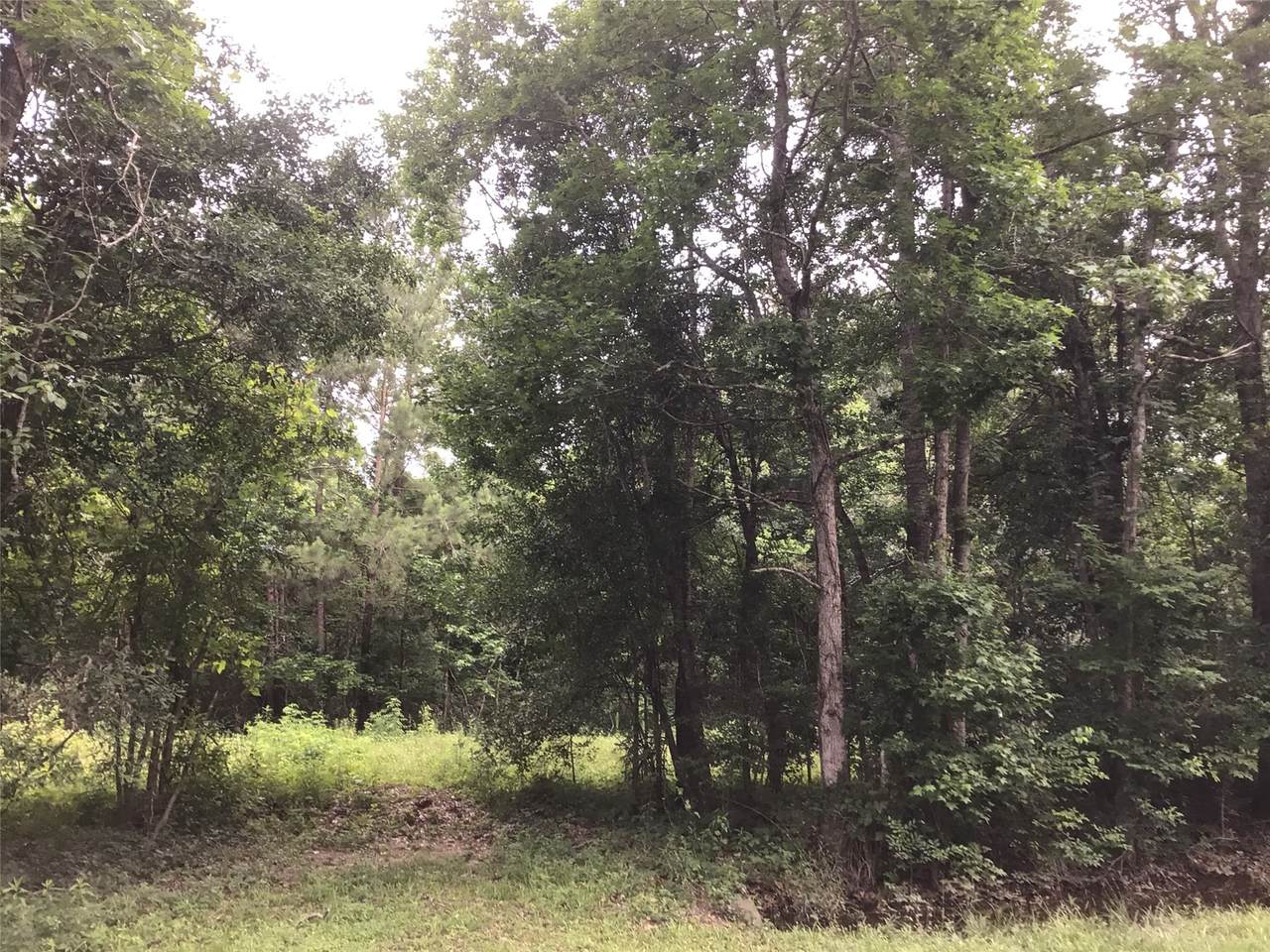 321 County Road 304 Highway - Photo 1