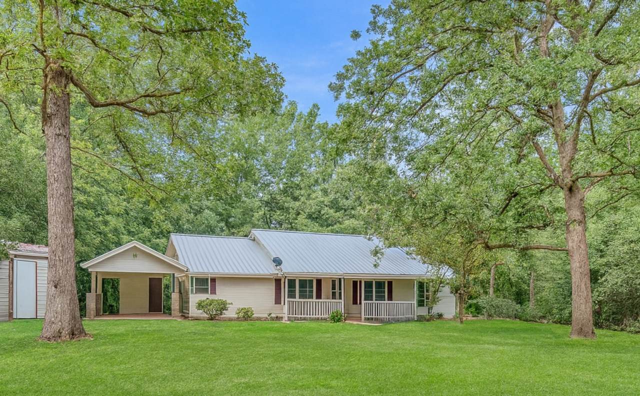 123 Sea Gull Drive - Photo 1