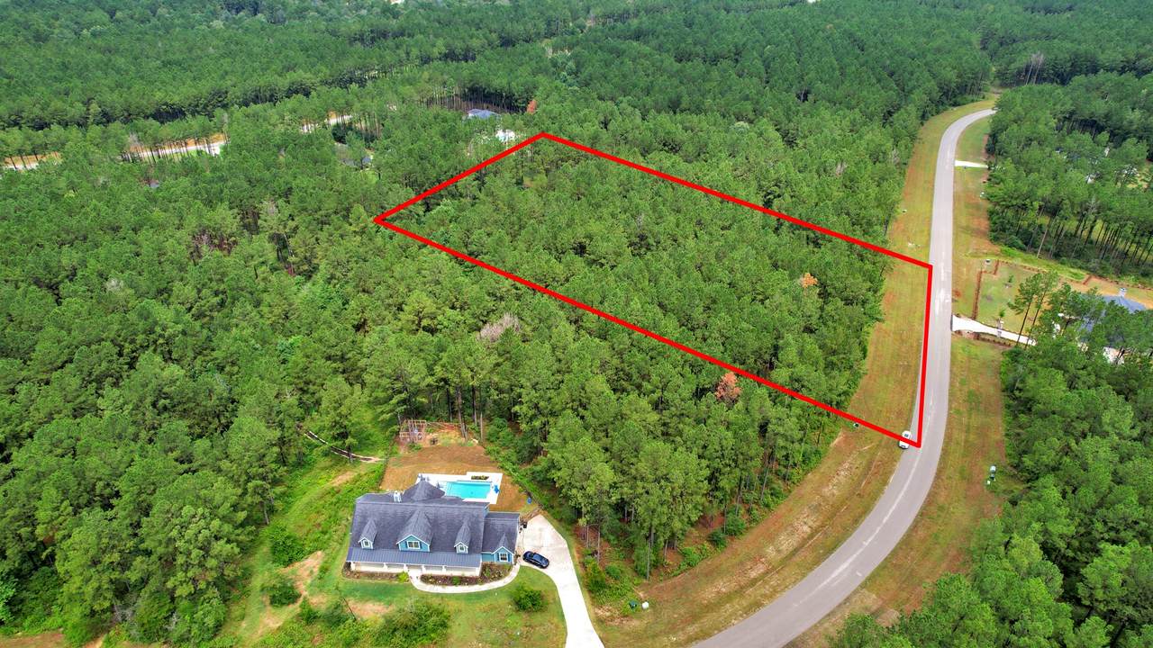 10940 Ruger Road - Photo 1