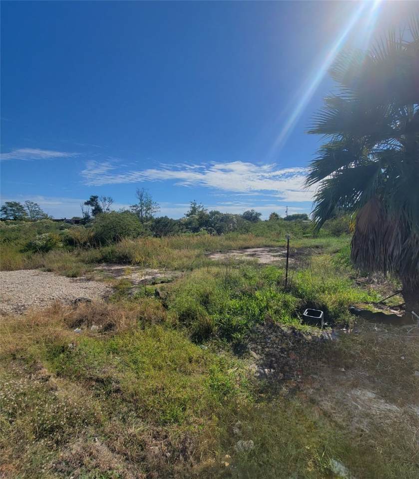 7005 Schlitz Lane - Photo 1
