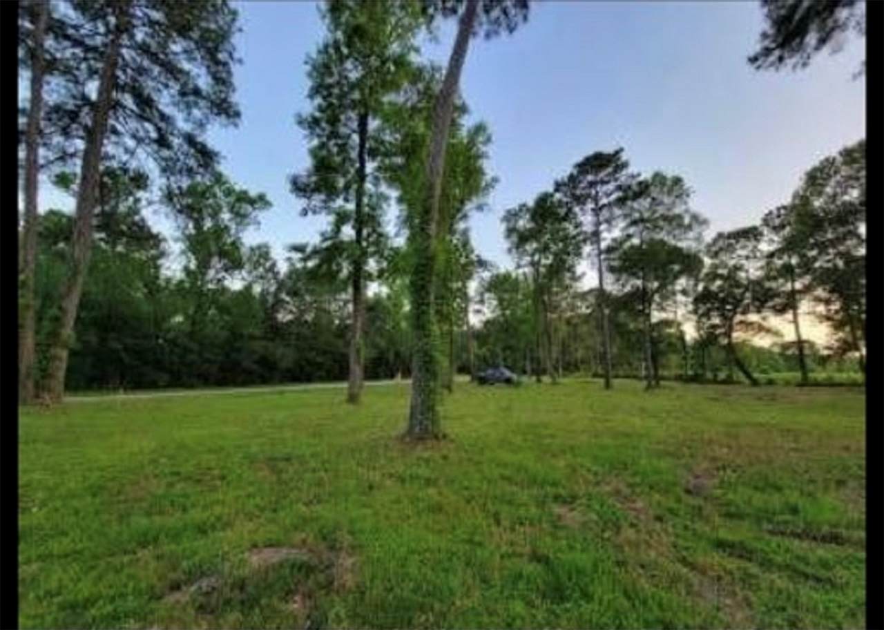 10171 Ehlers Road - Photo 1