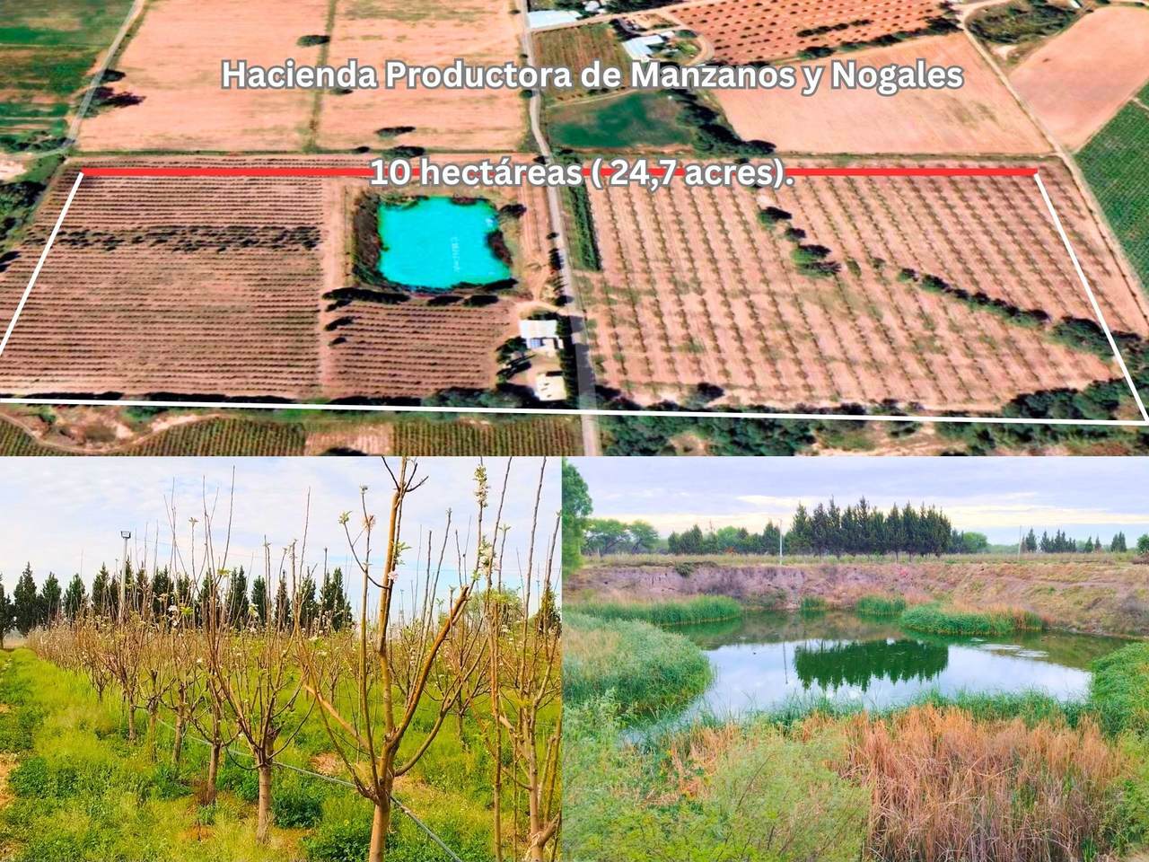 4PJ2+JJ2 San Luis De Letras Street - Photo 1