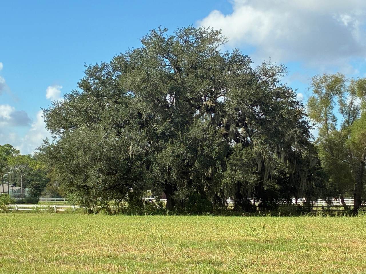 https://bt-photos.global.ssl.fastly.net/harmls/1280_boomver_2_82013223-2.jpg