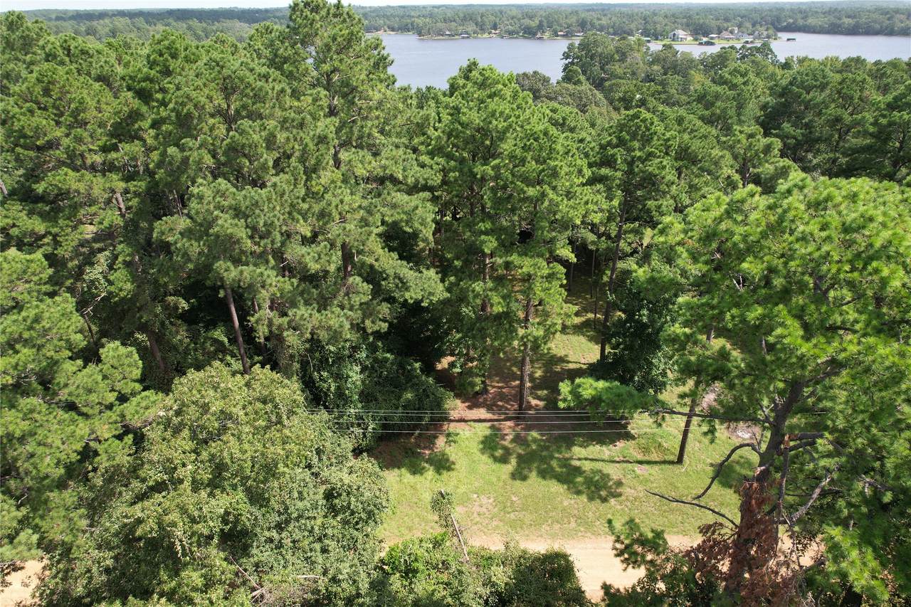 TBD Cedar Bend - Photo 1