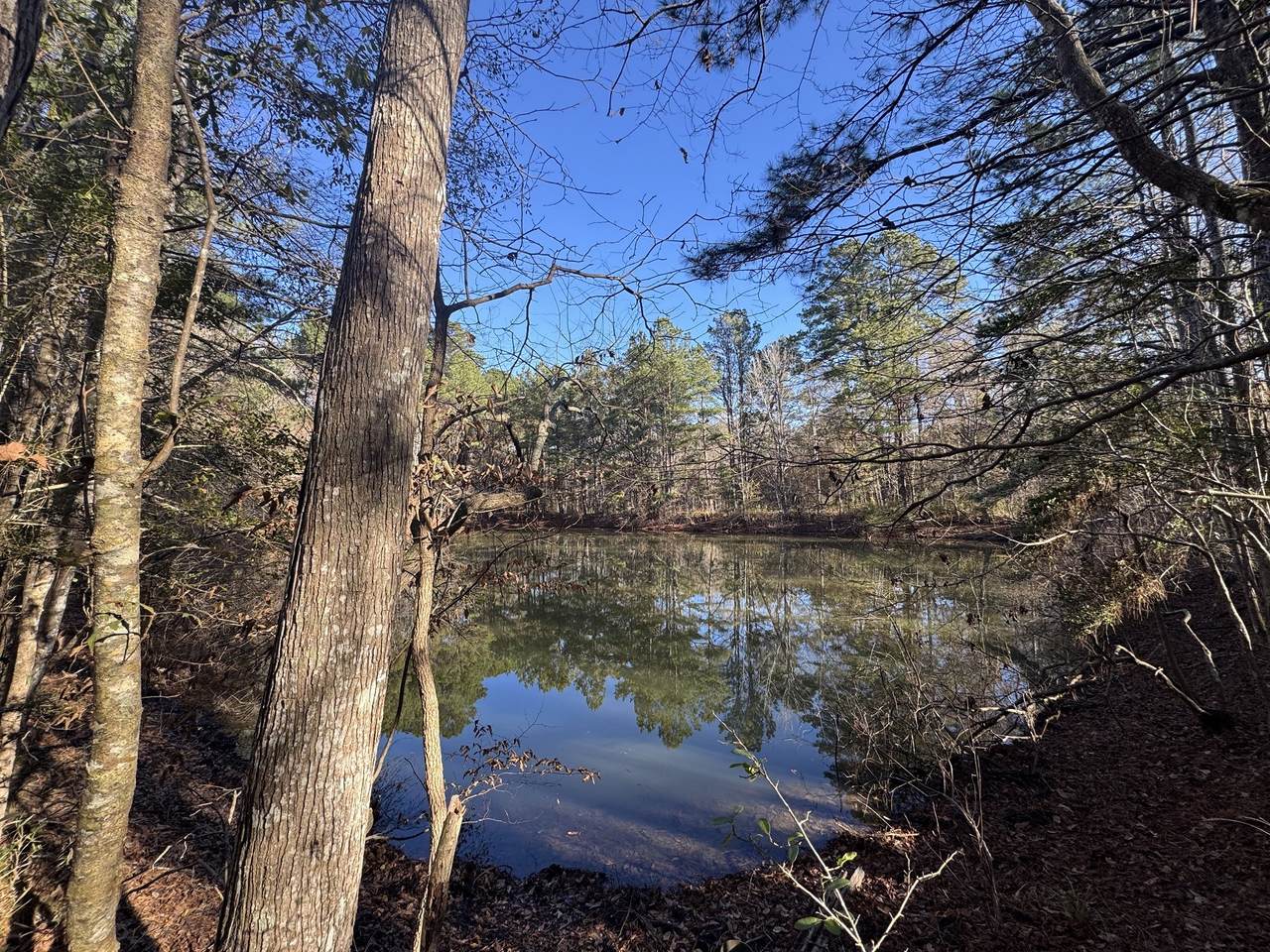 2080 County Road 1100 - Photo 1