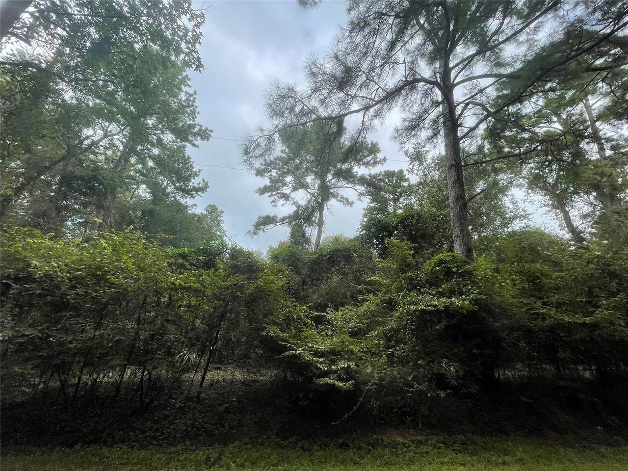 0 Corolla Road - Photo 1