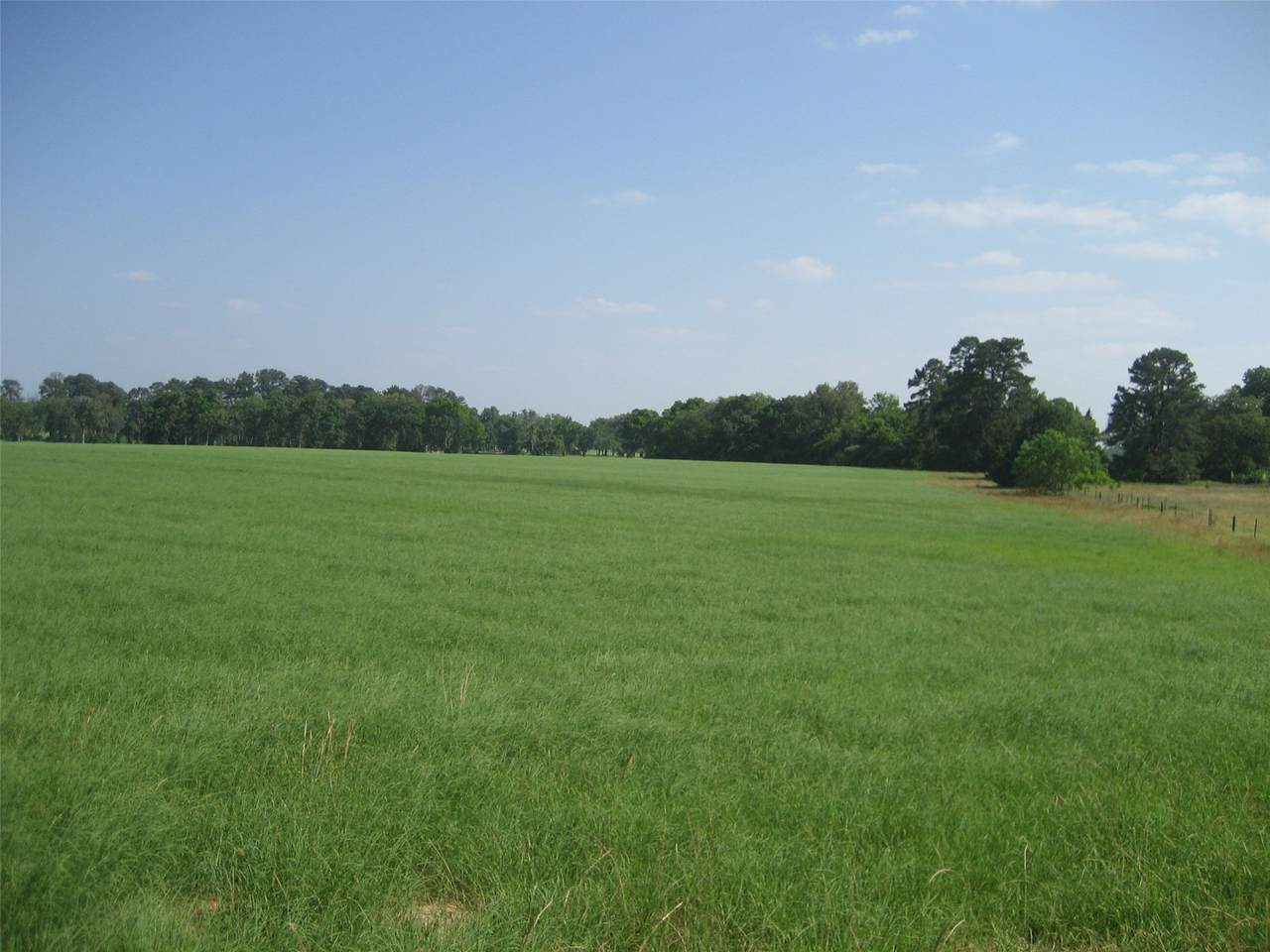00 Cr 1890 - Photo 1