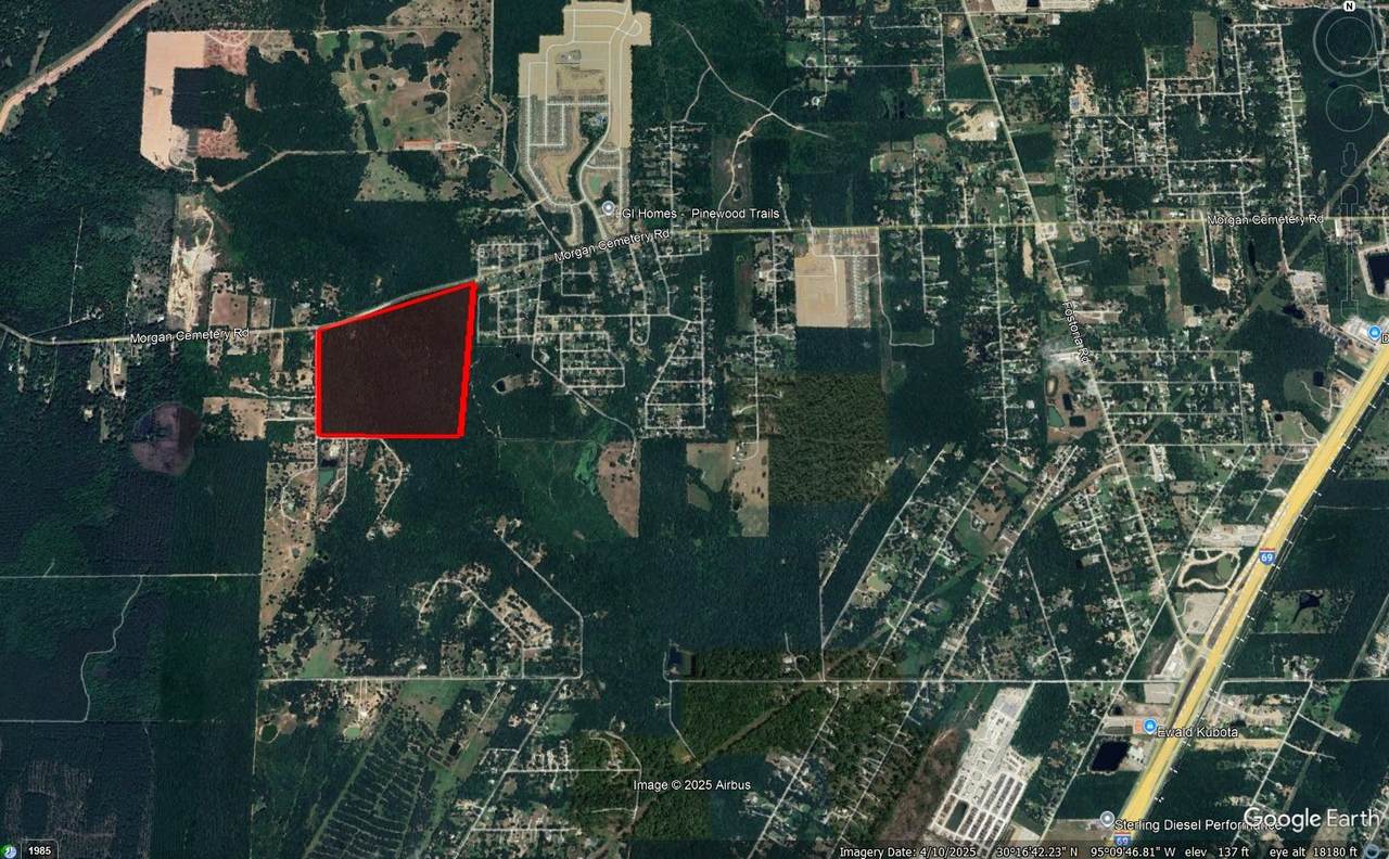 108 acres Morgan Cemetery Road - Photo 1