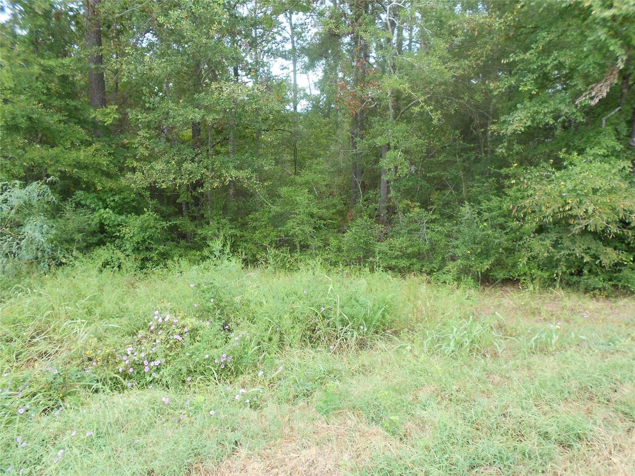 957 Fm 356 - Photo 1