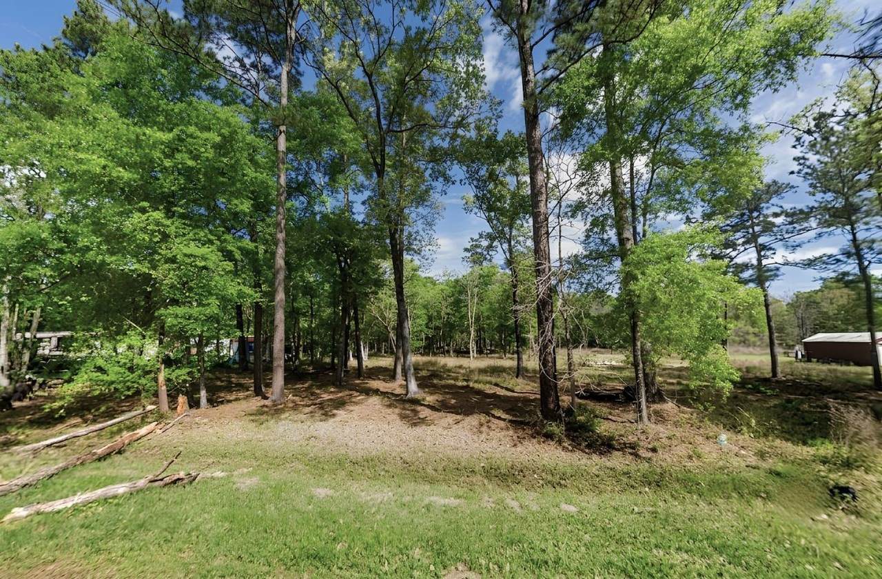 158 County Road 6502 - Photo 1