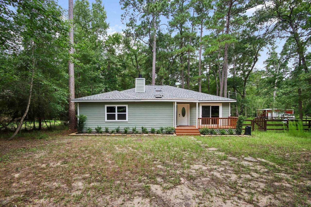 25319 Penguin Street - Photo 1