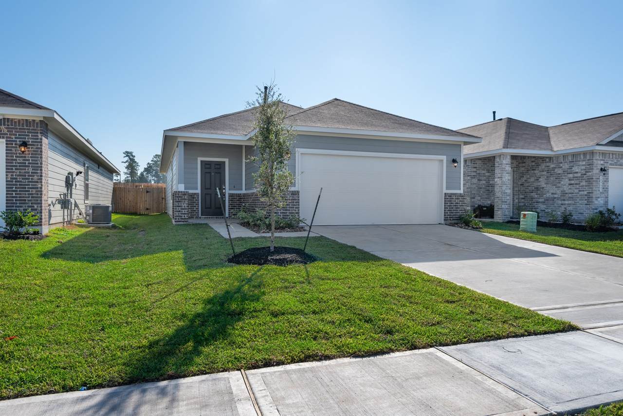 25719 Northpark Palm Drive - Photo 1