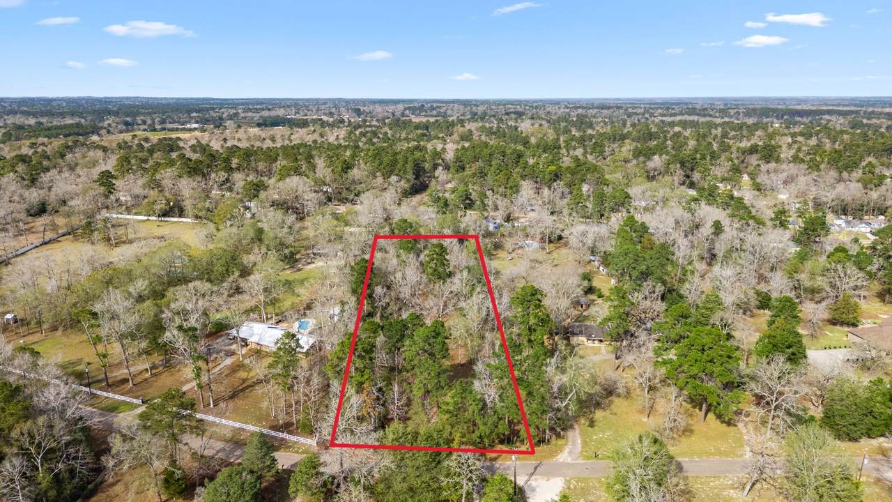 10825 Rose Royal Drive - Photo 1