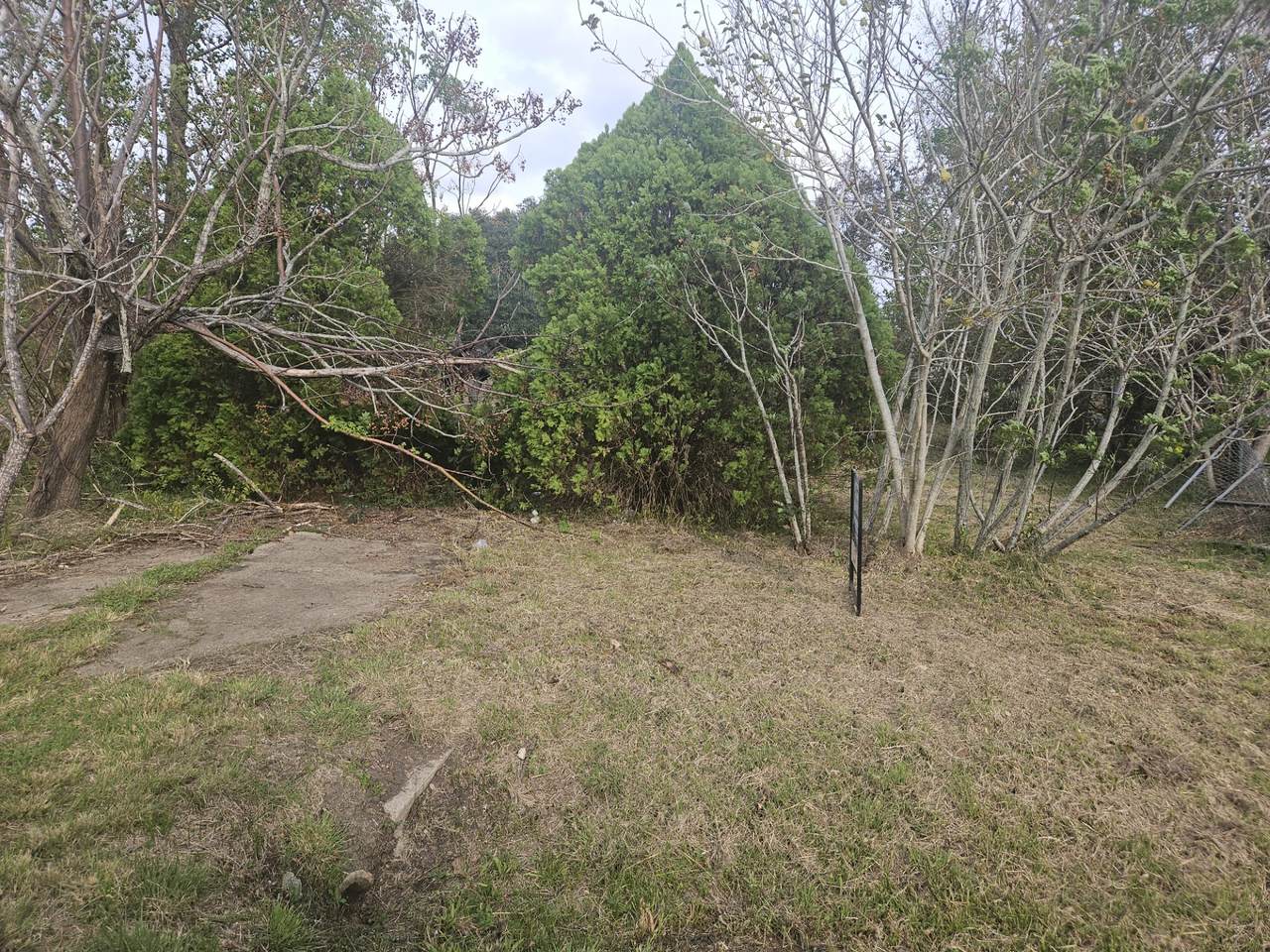 413 2nd Street - Photo 1