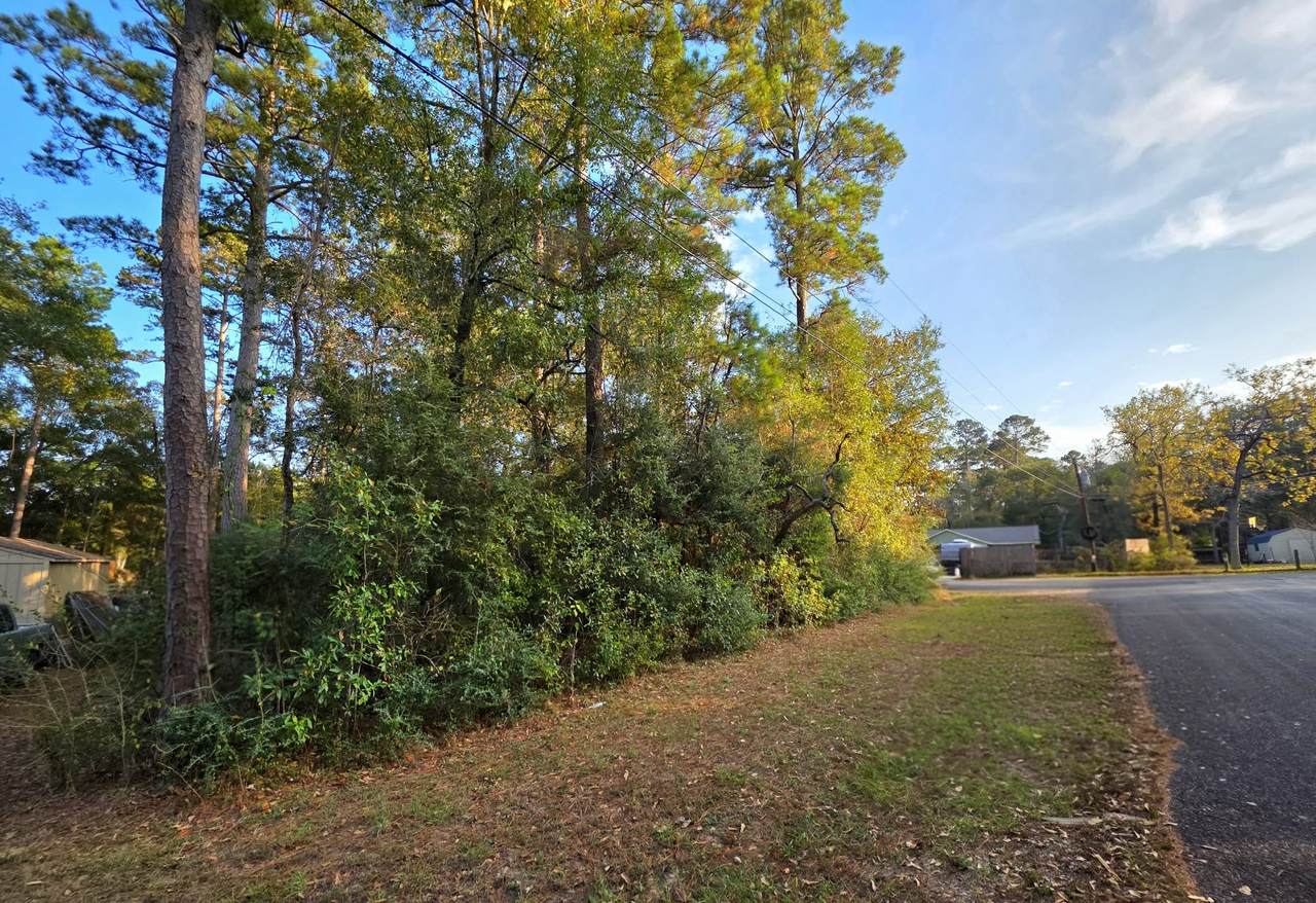 0 Hollyhill Drive - Photo 1