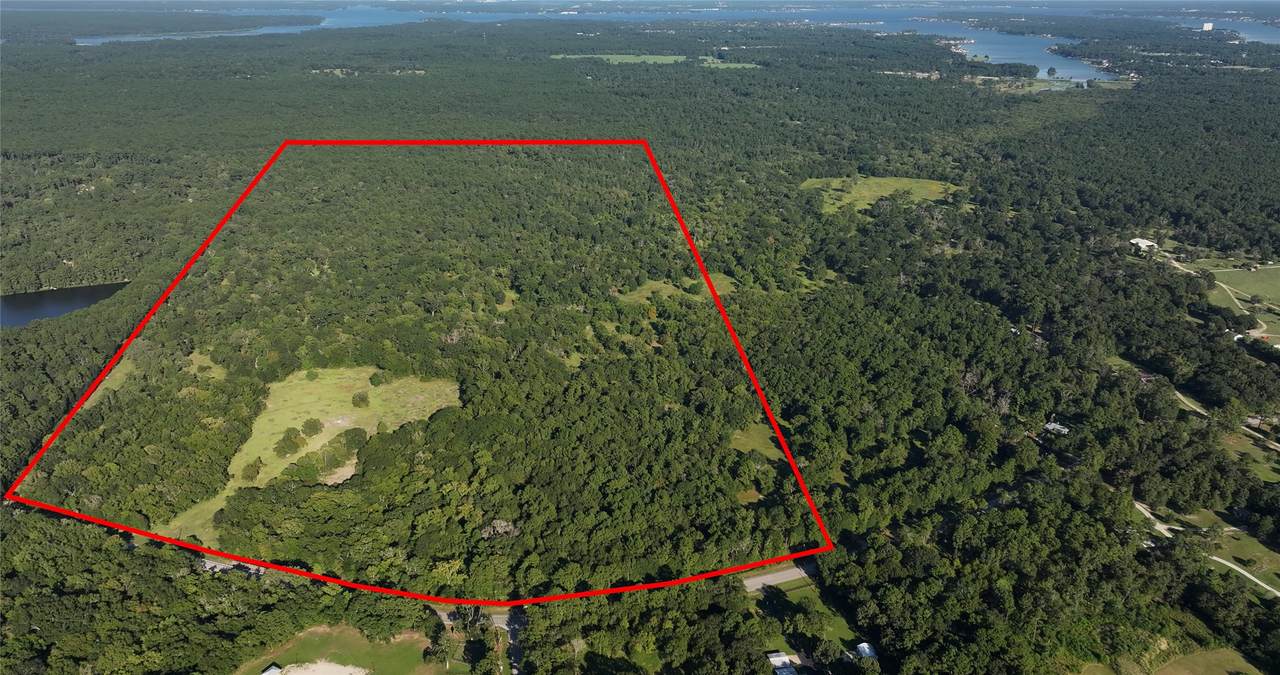 195 ac Fm 149 Rd - Photo 1