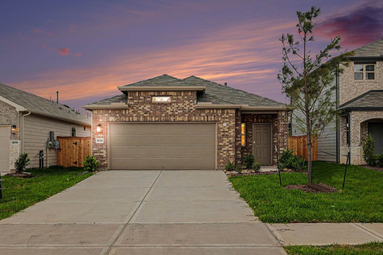 10723 Sora Drive - Photo 1
