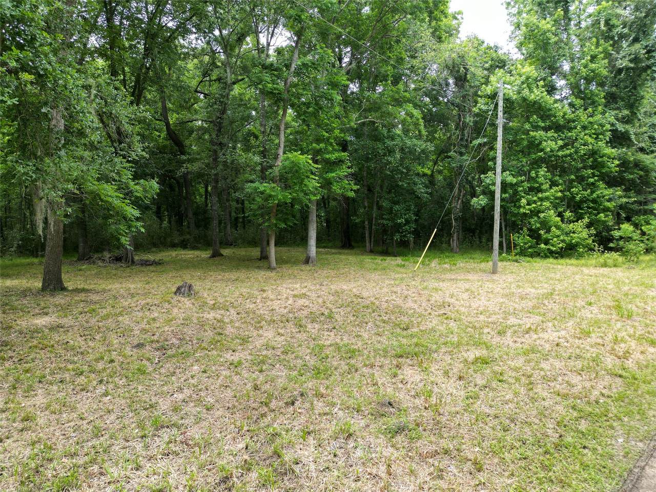 000 Miller/ Lakeview Dr - Photo 1