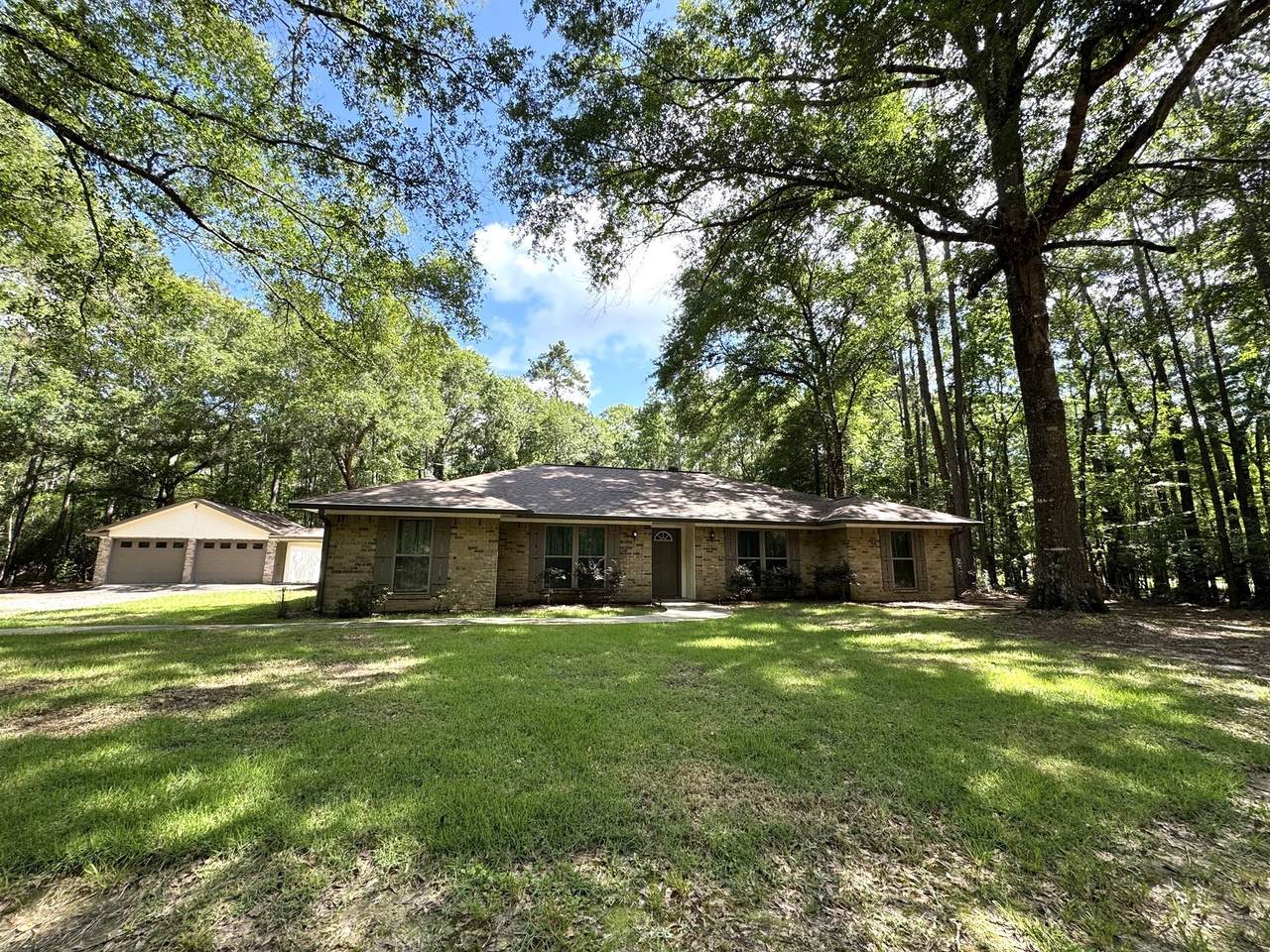408 Eucalyptus Street - Photo 1
