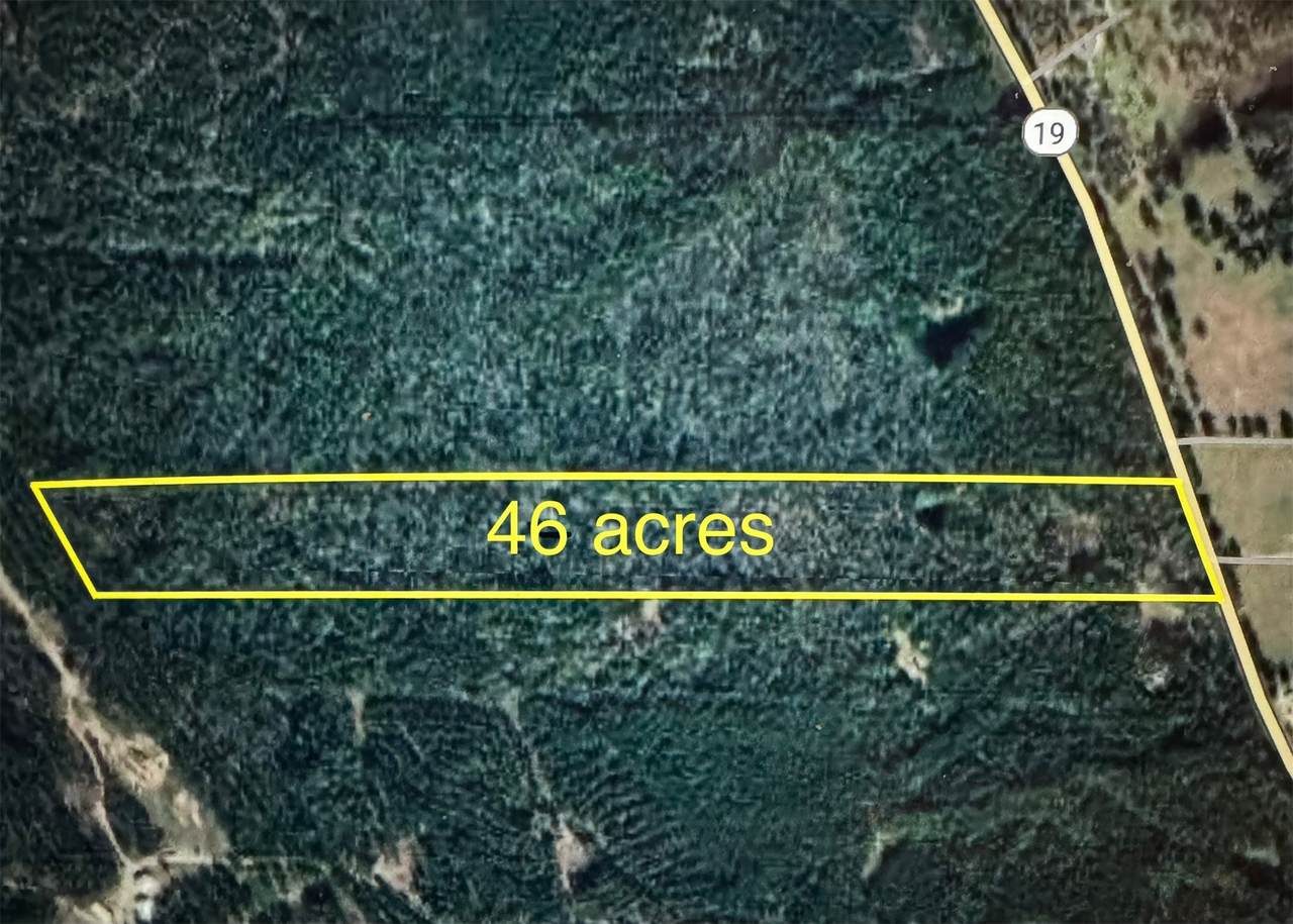 4109 State Highway 19 - Photo 1