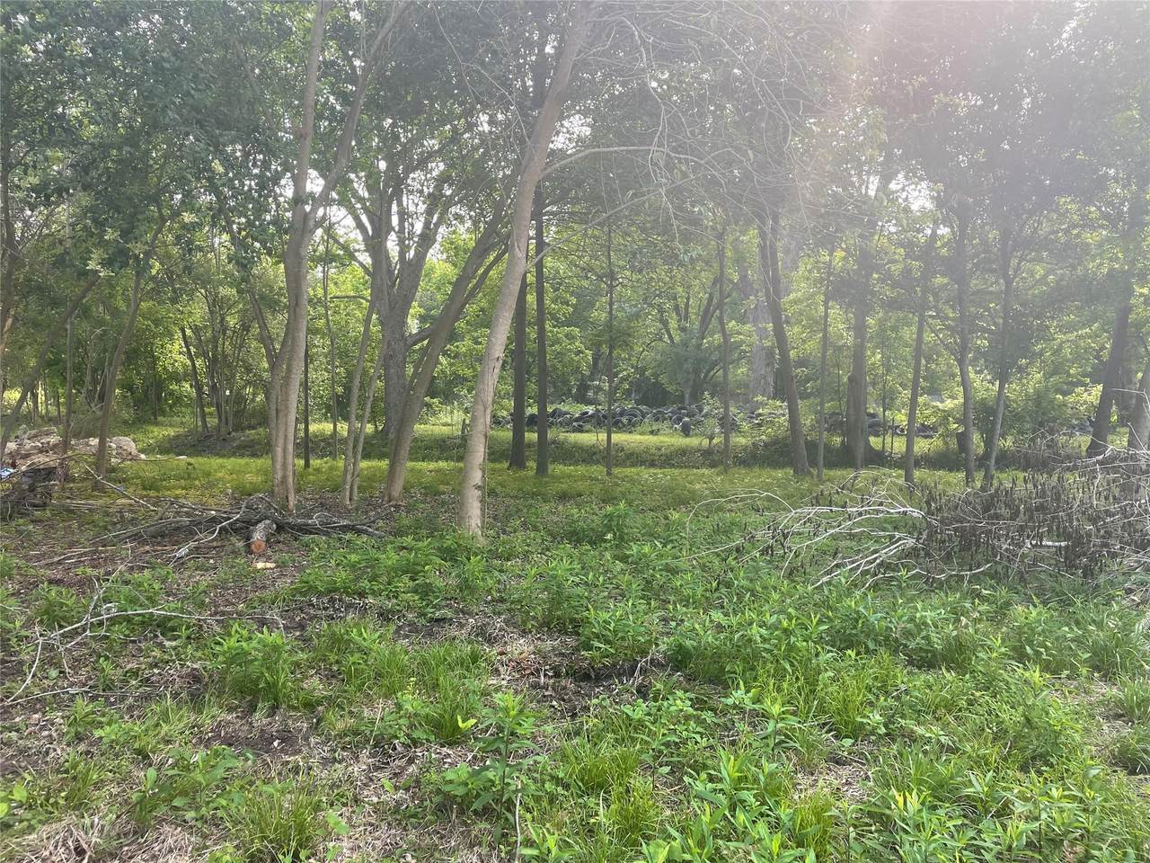 4603 Baton Rouge Street - Photo 1