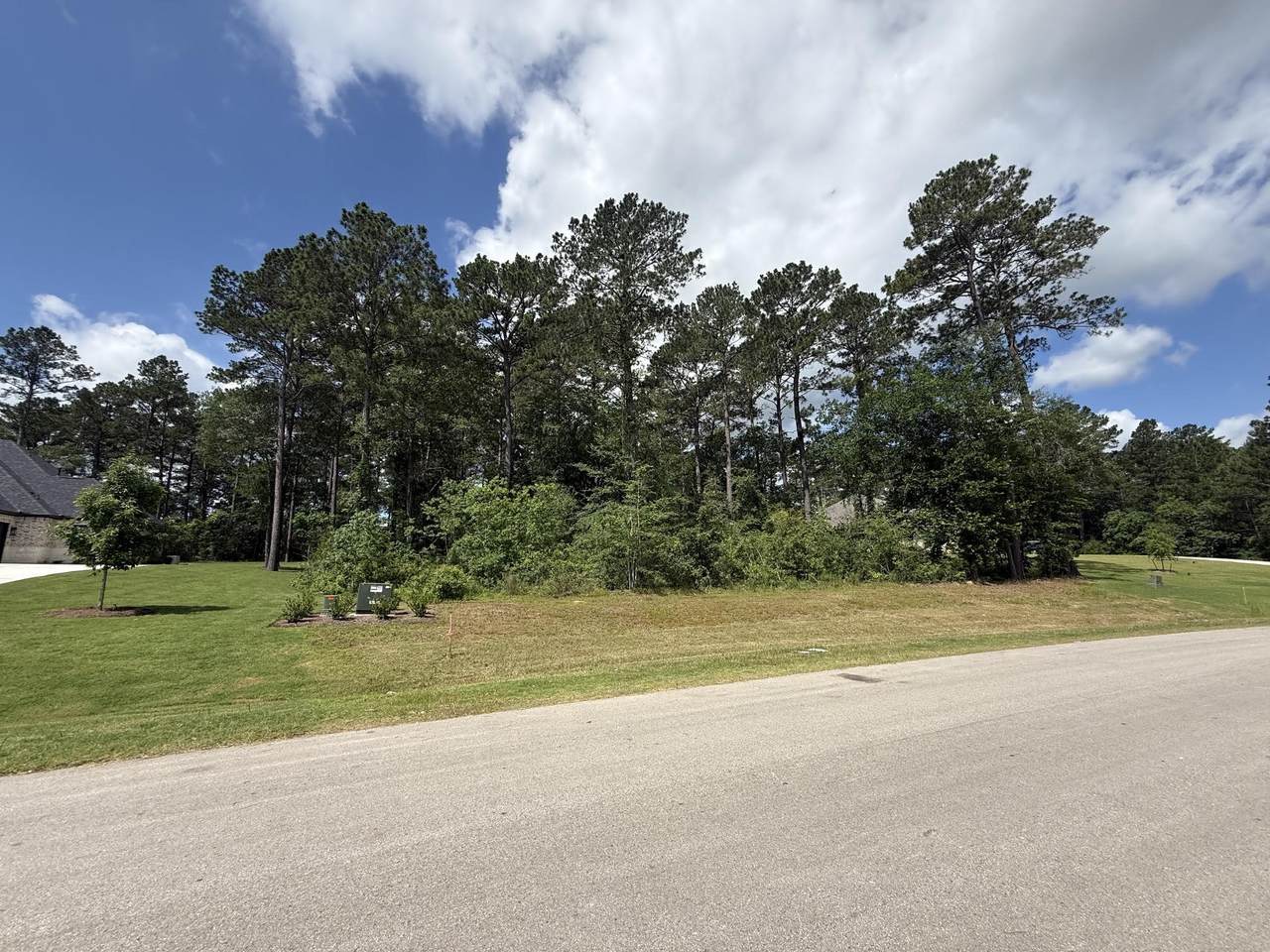 8652 Cedar Meadow Lane - Photo 1