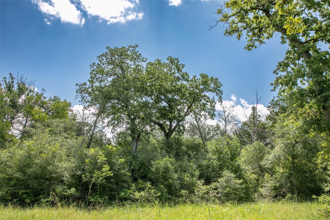 TBD Fm 594 - Photo 1