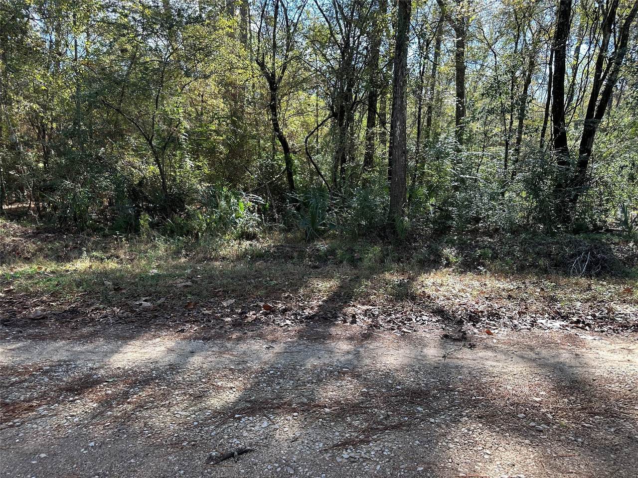 0 County Road 3612 - Photo 1