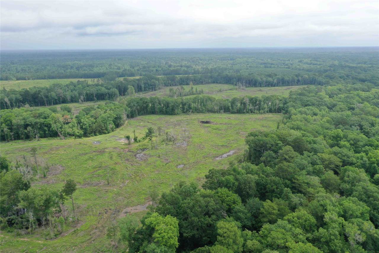 TBD Cr 449- Socagee Creek Road - Photo 1