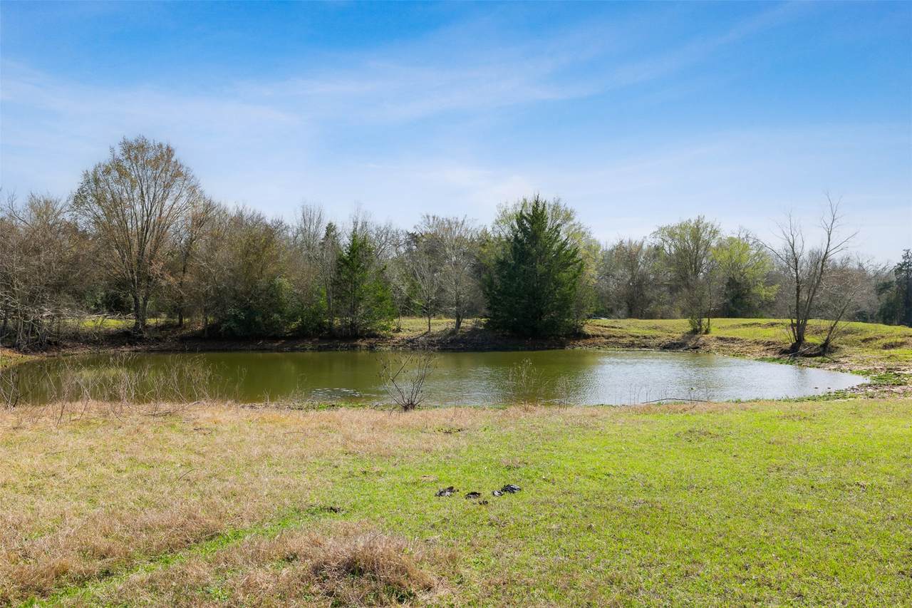 6804 County Road 126 - Photo 1