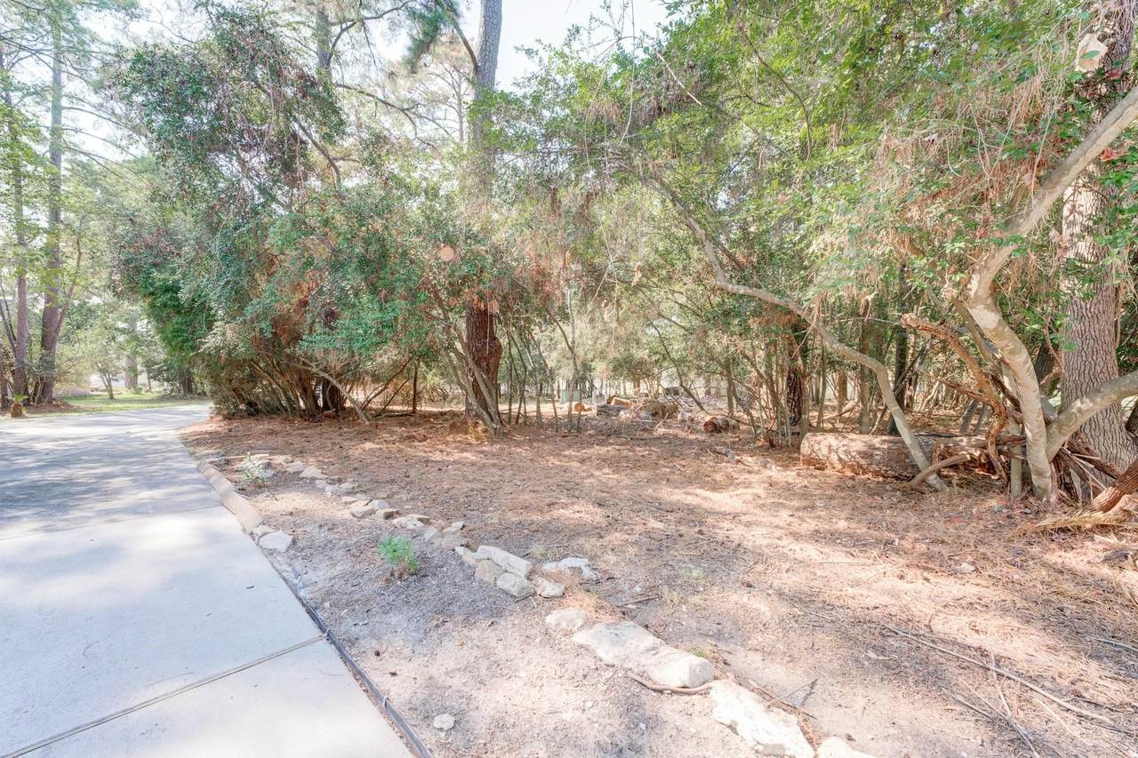 11630 Twain Drive - Photo 1
