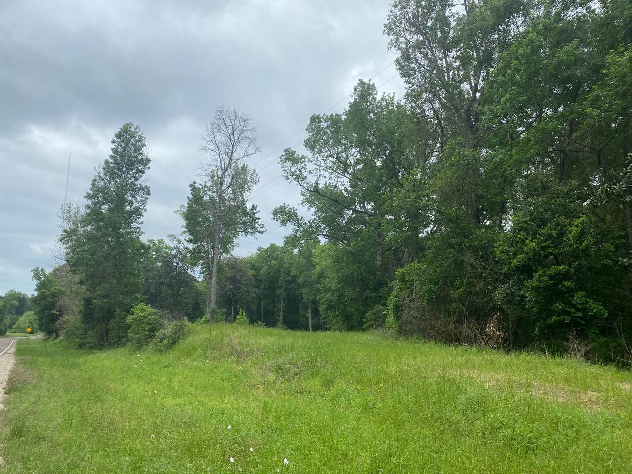 TBD 00 Fm 222 Loop - Photo 1