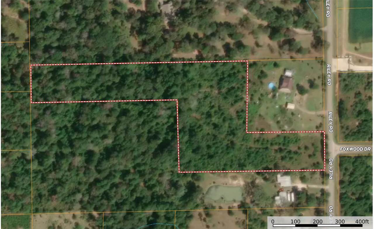 0000 Riley - Photo 1