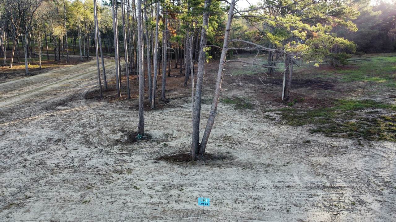 15337 Highlander Court - Photo 1