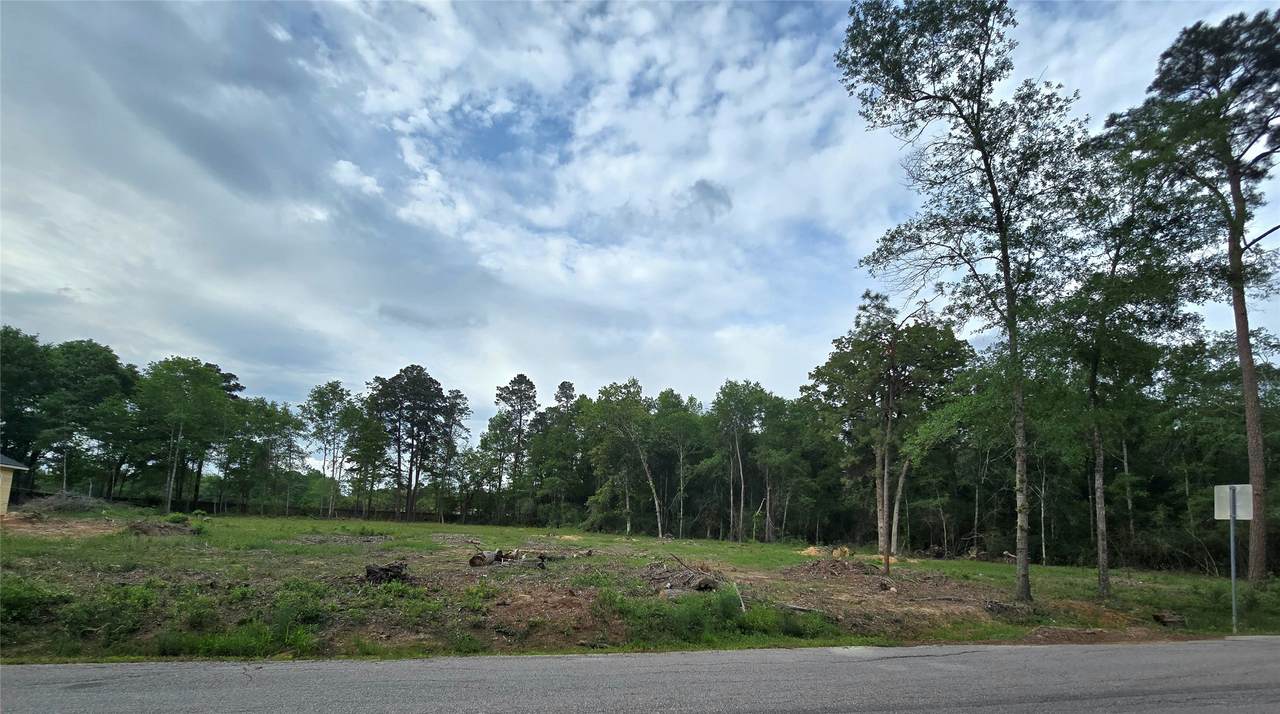 3805 Piney Point Road - Photo 1